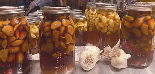 Fermented Honey and Garlic